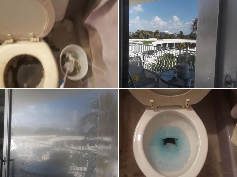 Pristine For You Cleaning