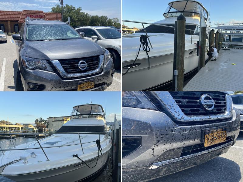 Eagle Cleaning Concepts