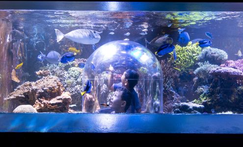 Butterfly House & Aquarium