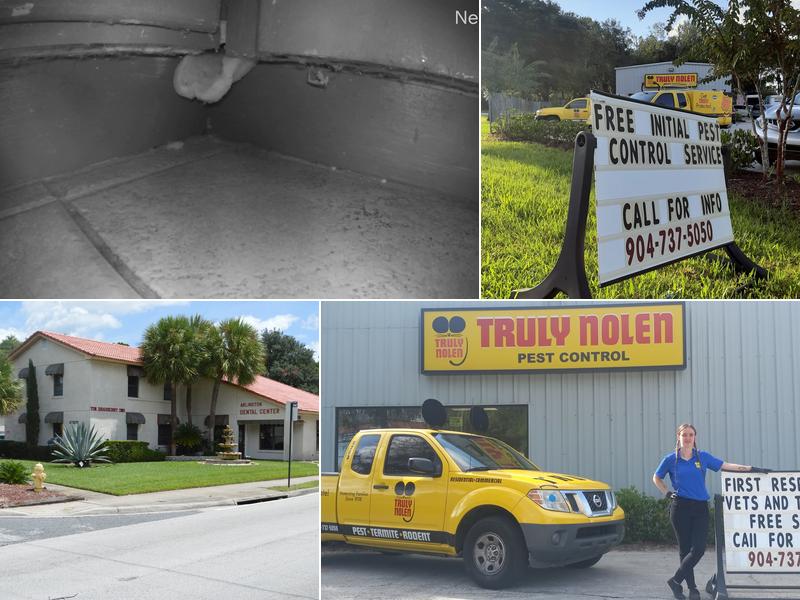 Truly Nolen Pest & Termite Control - Jacksonville