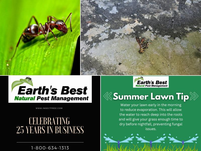 Earth's Best Natural Pest Management