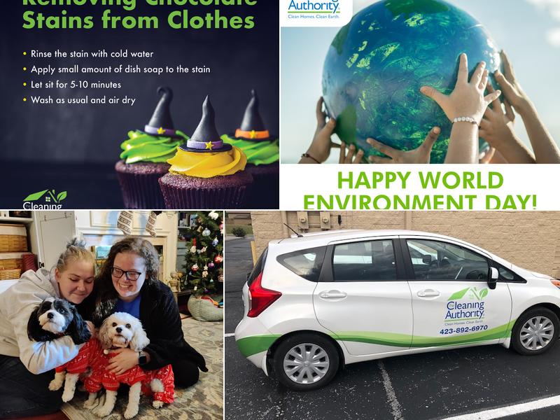 The Cleaning Authority - Chattanooga