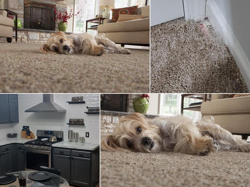 Metro Carpet And More, LLC