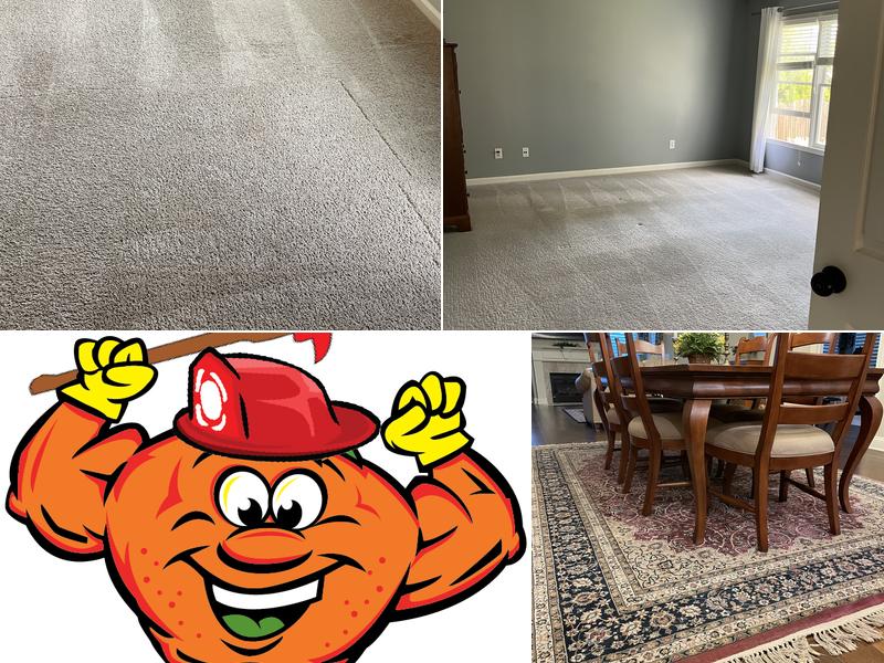 Citrusolution Carpet Cleaning of Paulding County