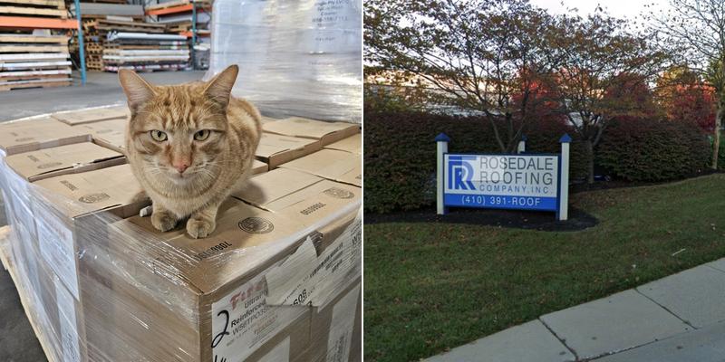 Rosedale Roofing Co Inc