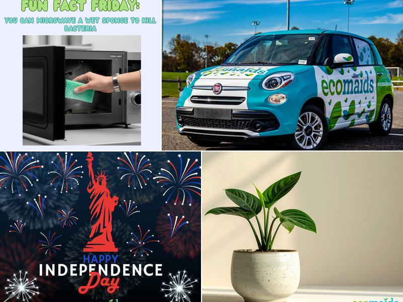 ecomaids of Suwanee-Alpharetta-Cumming