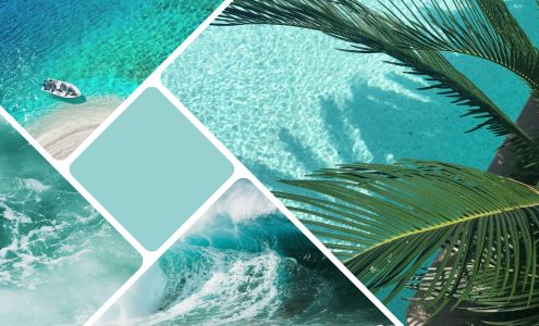 Primary Pacific Cleaning LLC