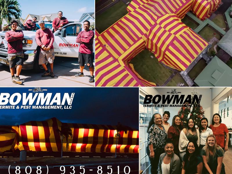 Bowman Termite & Pest Management