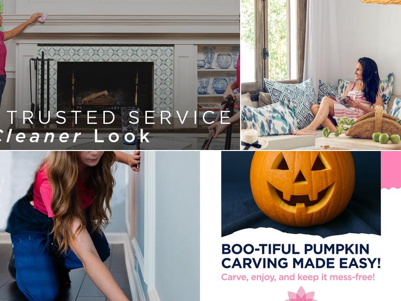 MOLLY MAID of Peoria