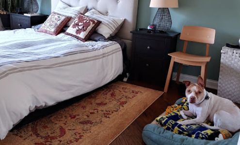 Mother B Green Cleaning