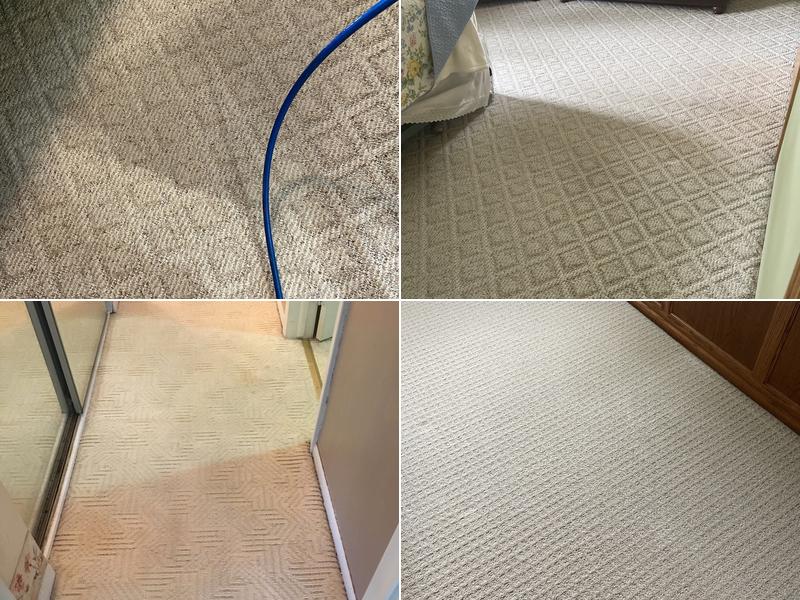 Executive Green Carpet Cleaning