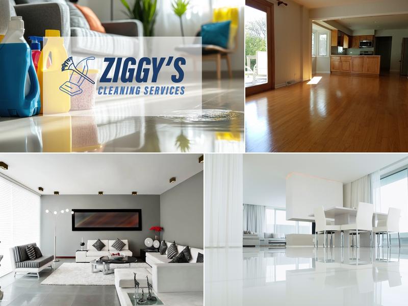 Ziggy's House Cleaning Service