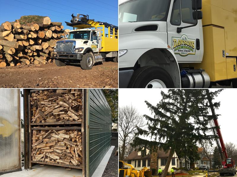 Dawsons Tree Service, Inc