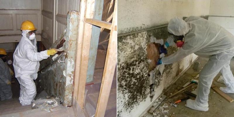 Bergo Environmental Services