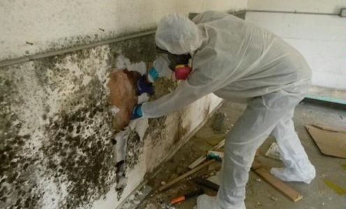 Bergo Environmental Services 6126 Olson Mem Hwy, Golden Valley Minnesota 55422