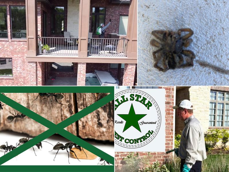 All Star Pest Control