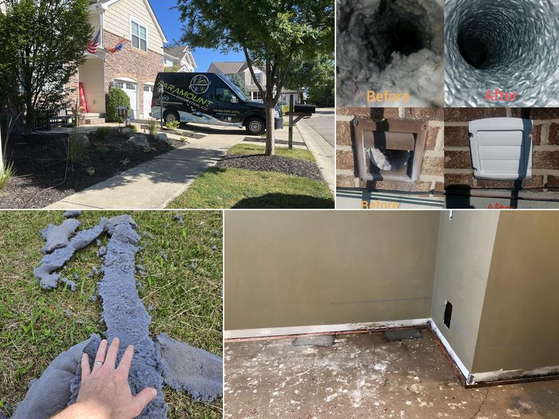 Paramount Restoration