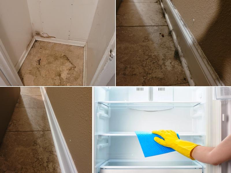 Clean To Tidy Cleaning Service