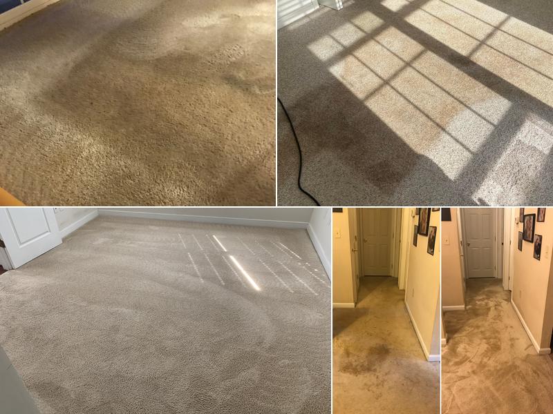 Dun-Rite Carpet & Upholstery