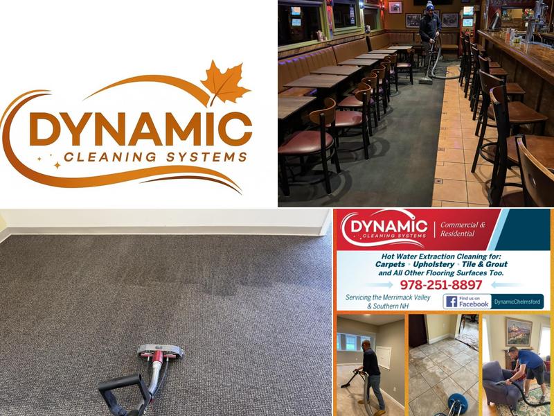 Dynamic Cleaning Systems