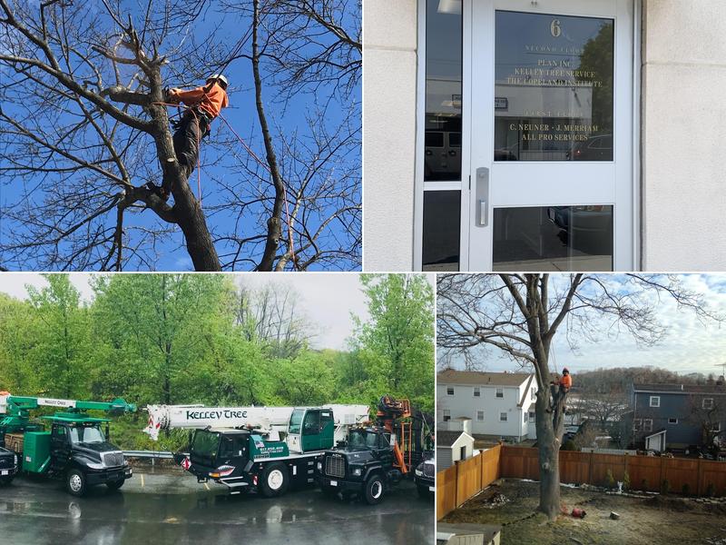 Kelley Tree Service
