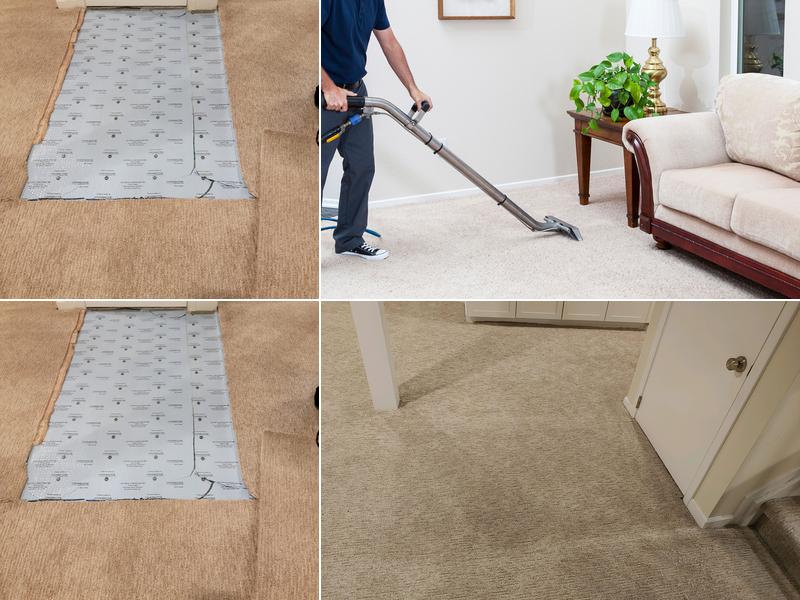 1 Stop Carpet Care