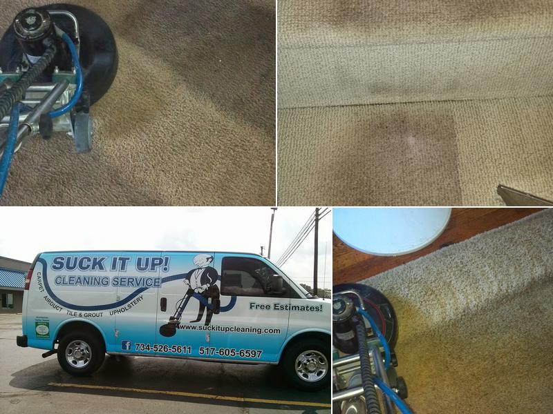 Suck It Up! Cleaning Service
