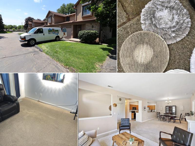 Rapid Dry Carpet Cleaning