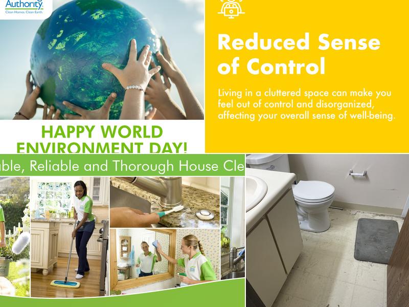 The Cleaning Authority - Lansing