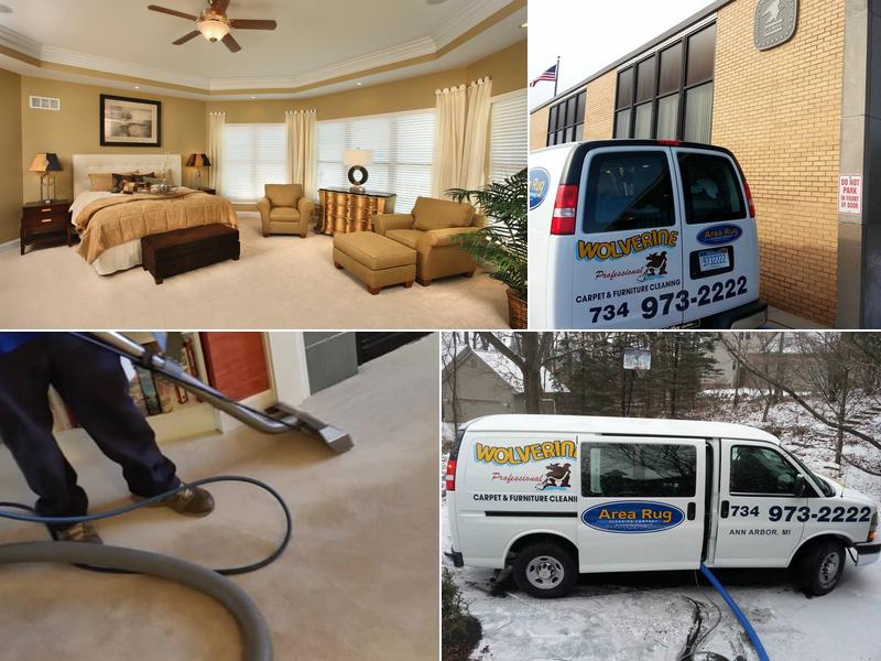 Wolverine Professional Carpet and Furniture Cleaning