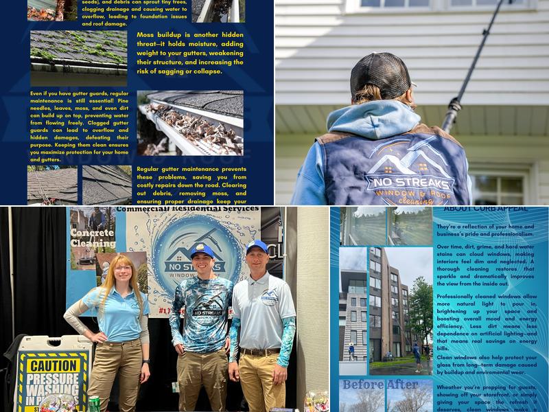 No Streaks Window & Roof Cleaning