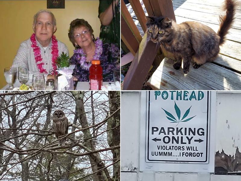 Beverly Hills Development