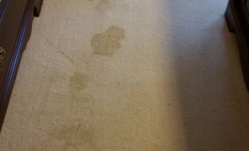 Hostess Carpet Care 10509 NE 98th St, Kansas City Missouri 64157