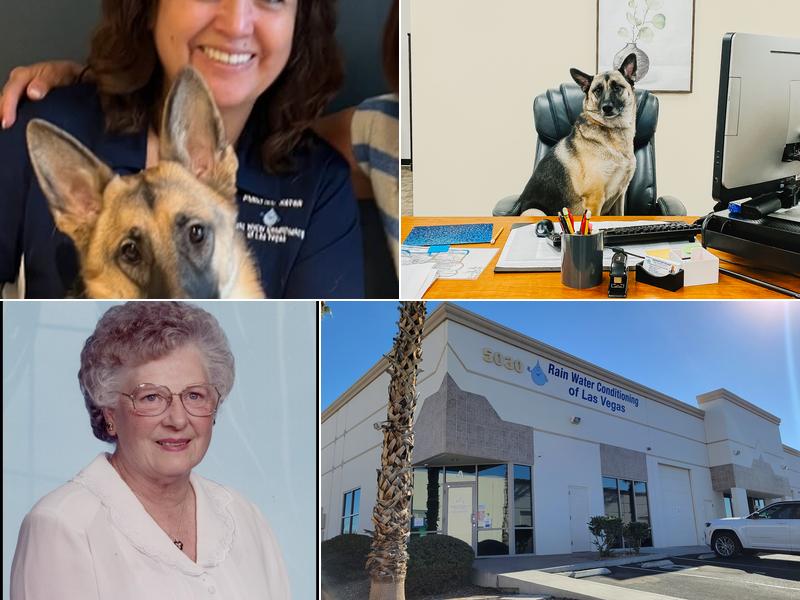 Rain Water Conditioning of Las Vegas