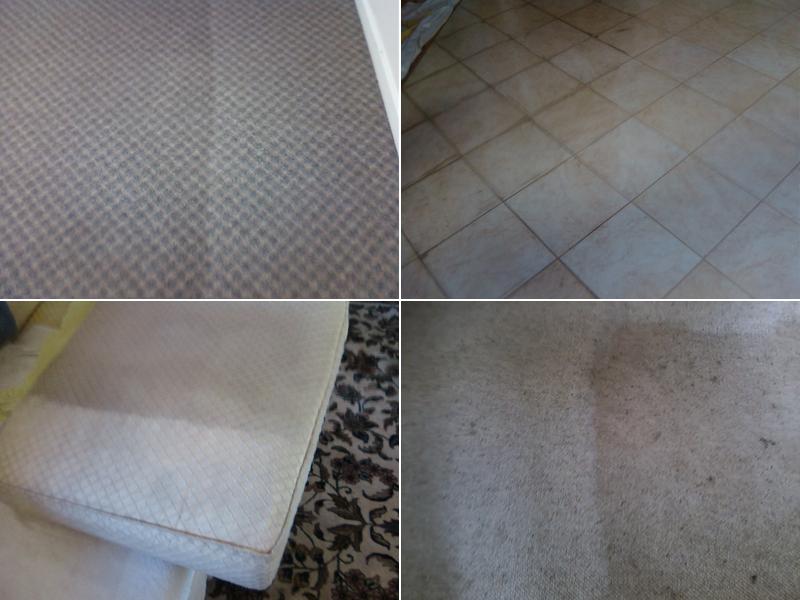 A Pro Carpet, Upholstery, Tile & Grout Cleaning