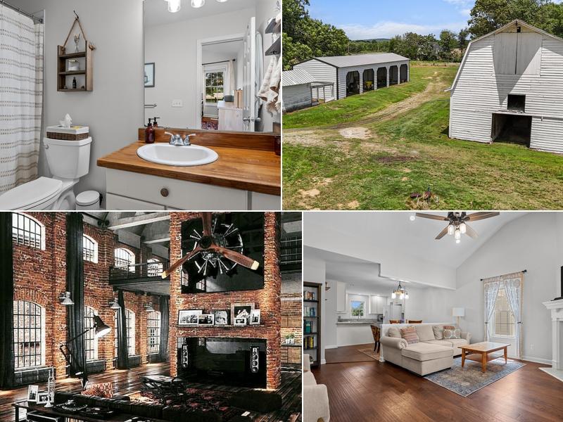 Vincent Barbour & Company