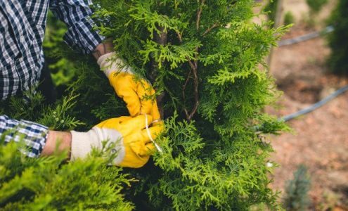 TarHeel Residential Roofing llc