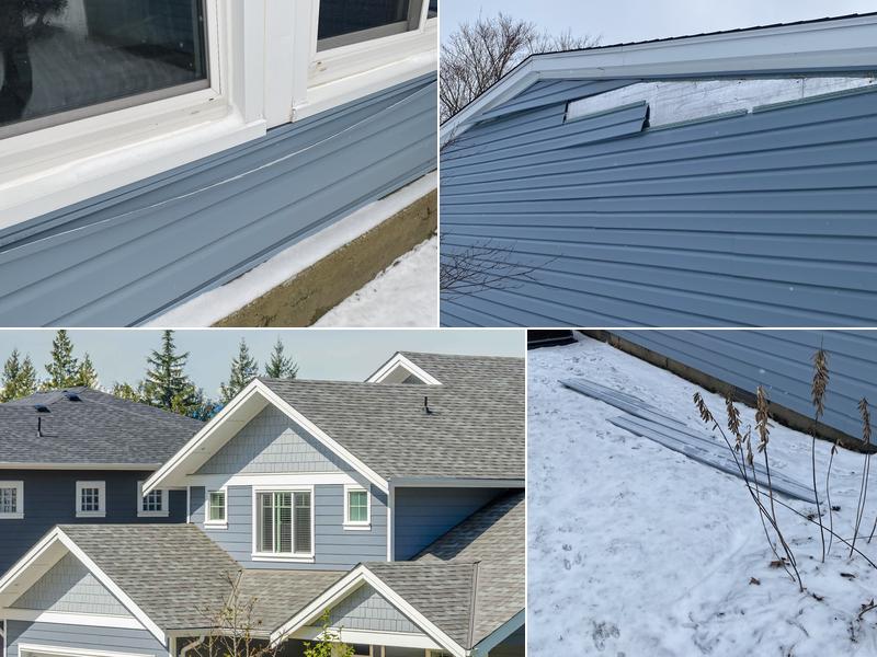 The Bearded Carpenter