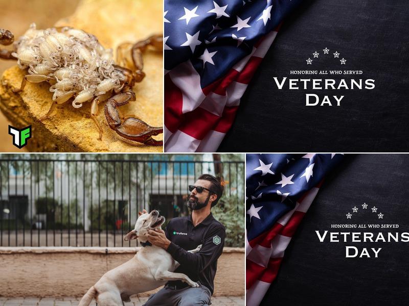 TruForce Pest Control