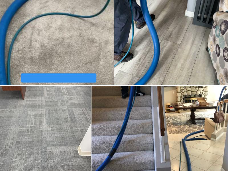 Pro Green Carpet Clean