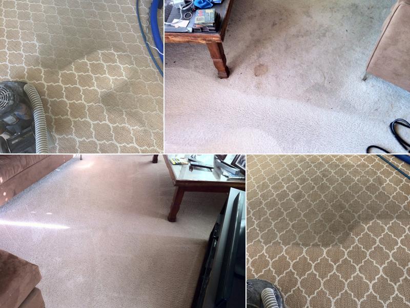 mikes carpet cleaning