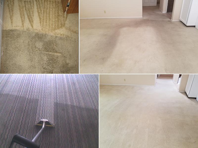 Gold Standard Floor Care