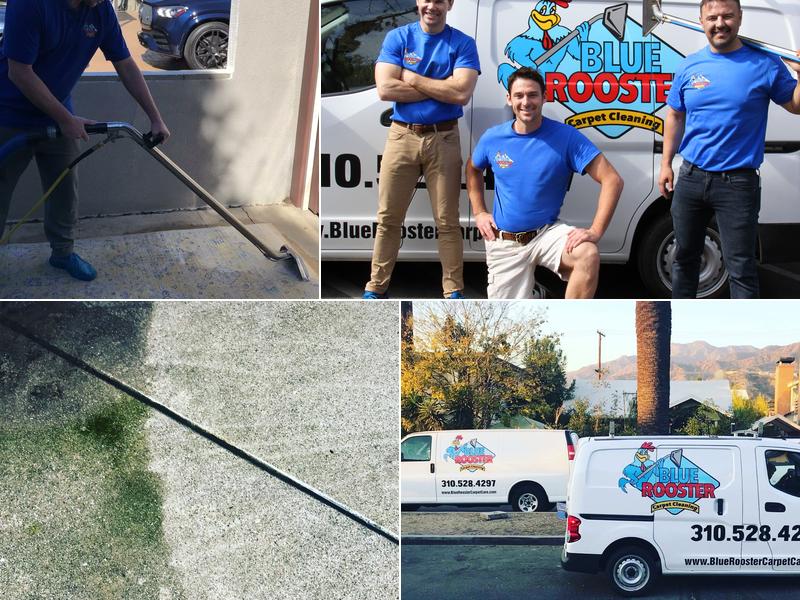 Blue Rooster Carpet Cleaning