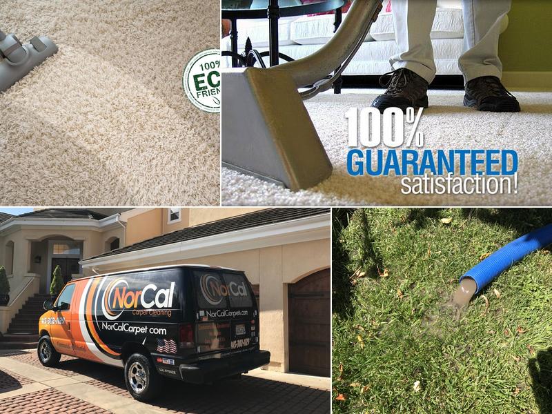NorCal Carpet Cleaning