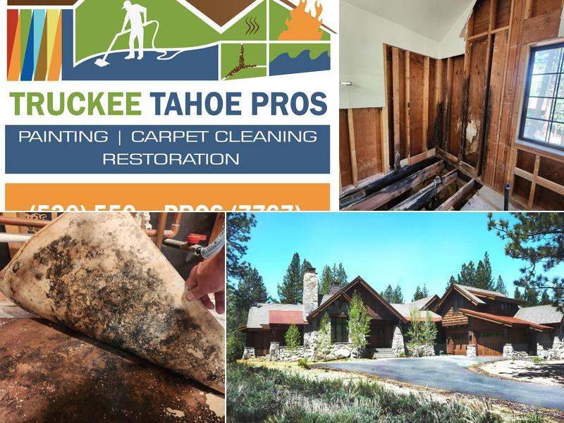 Truckee Tahoe Pros