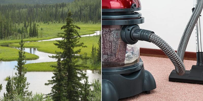 Saabye Carpet Cleaning