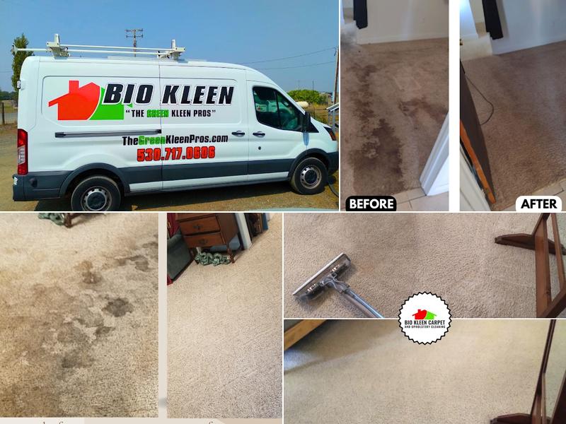 Bio Kleen Carpet and Upholstery Cleaning