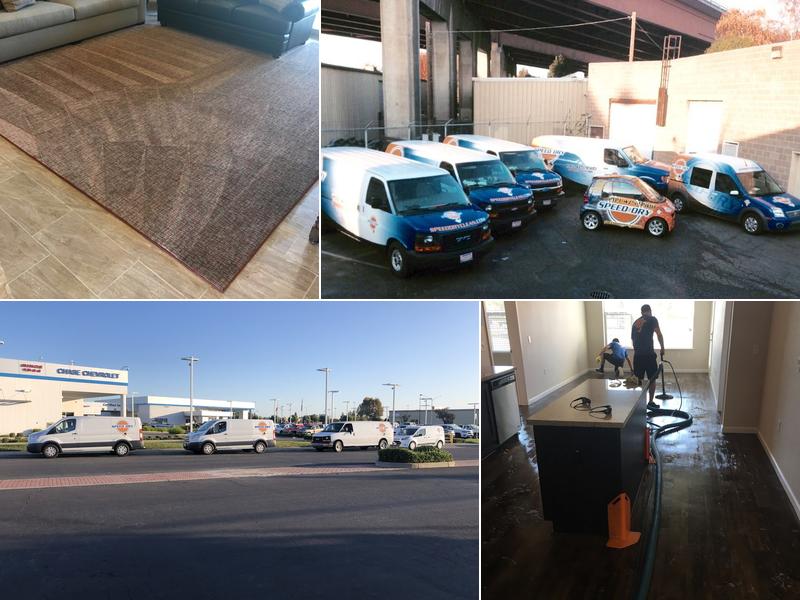 SPEEDDRY CARPET CLEANING