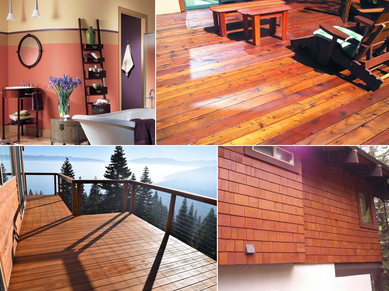 Restoration8 Paint, Stain and Wood Floors