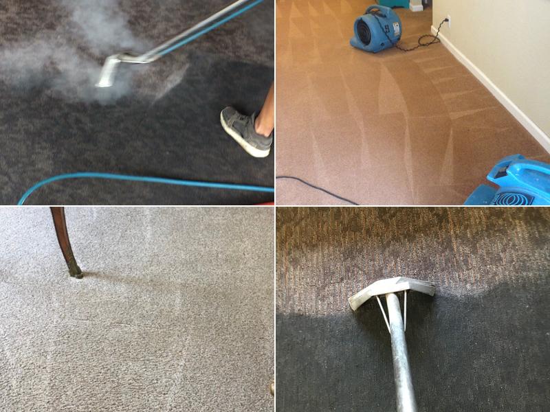 Stain Patrol Carpet Cleaning By Hugo